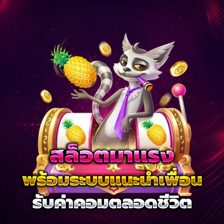 ทางเข้า cn13
